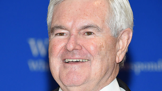 Newt?????????????